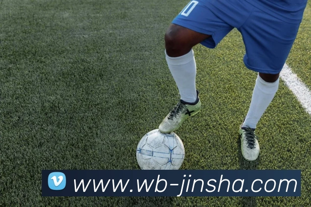 澳门金沙官网发展历程